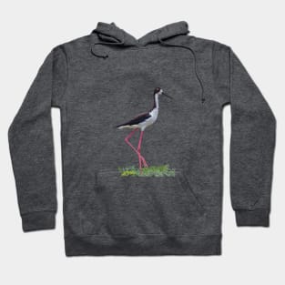 Aeʻo, Hawaiian Stilt Hoodie